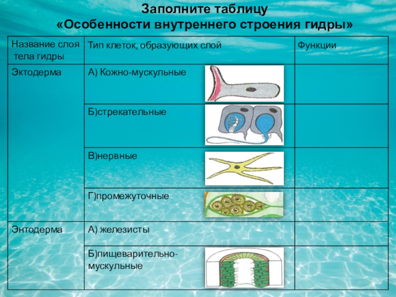 Кракен даркмаркет плейс официальный сайт